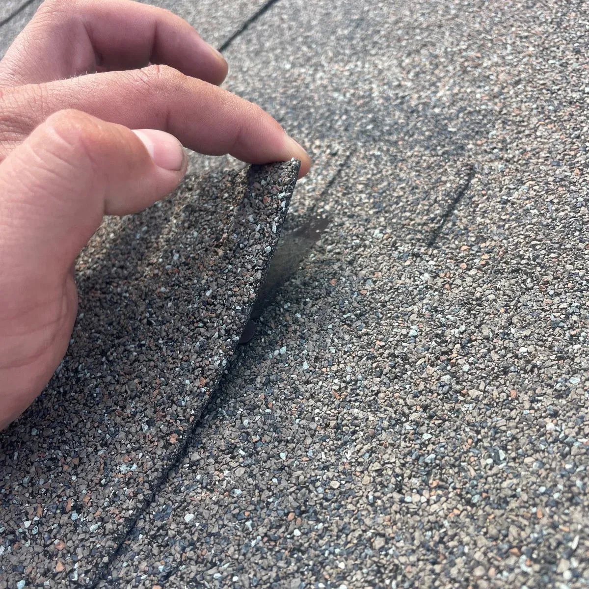Flat Roof Maintenance in Richmond Hill