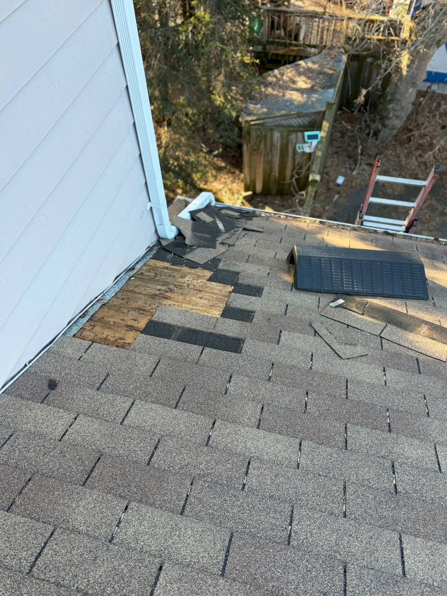 Roof Wildlife Removal in Newmarket