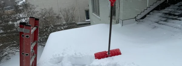 IMG_4263-scaled-1-1-1-3