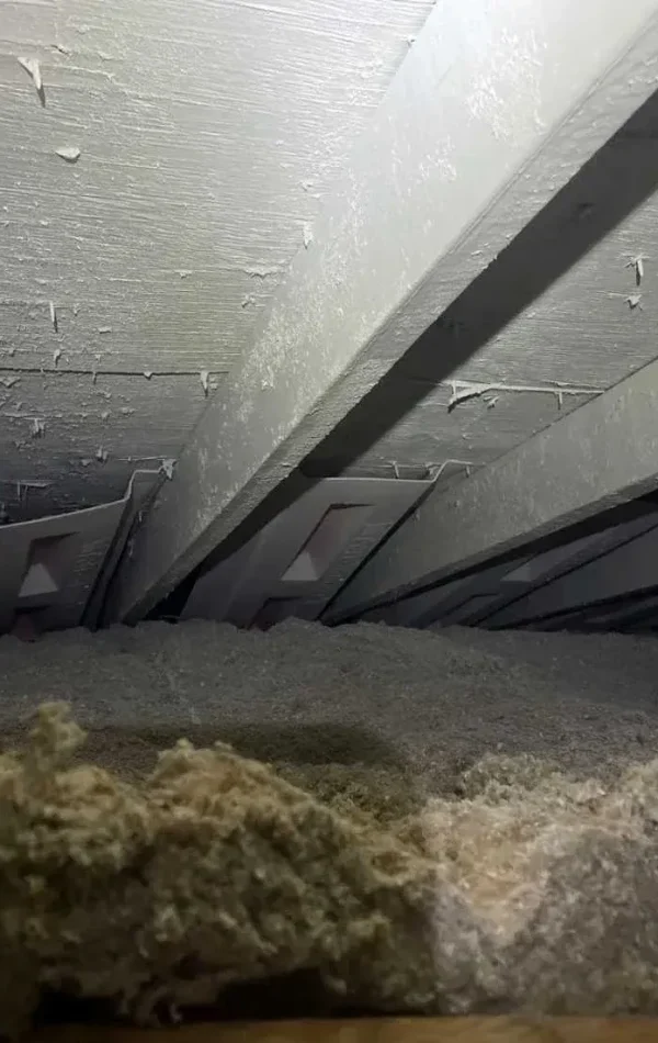 Efficient Attic Inspection in North York