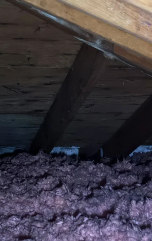 Efficient Attic Inspection in North York
