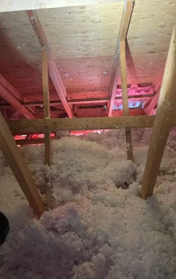 Efficient Attic Inspection in North York