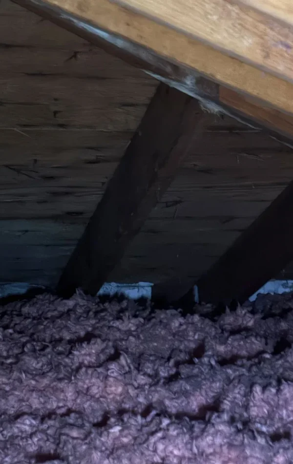 attic inspection in toronto